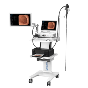 Flexible video gastroscope EG-GP13 series