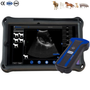 BXL-S100 Cattle Horse Donkey Vet Ultrasound Rectal Probe IPX7 Waterproof B&M