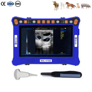 Cheaper BXL-V10Ⅲ Vet B-Ultrasound Diagnostic Device  Animal Pregnancy Backfat Detect  Multiple Probe